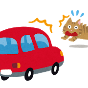 car_jiko_neko.png