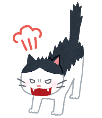 cat_angry.png