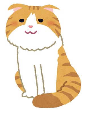 cat_scottish_fold.png