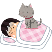 pet_cat_omoi_sleep_woman.png